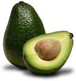 Cold-hardy avocado nursery photo