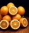 Citrus nursery photo